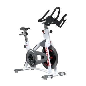 Schwinn AC Performance Bike | MADE TO ORDER